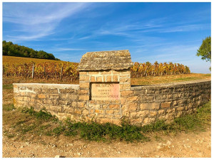 5531.musignyautumn.jpg-807x608